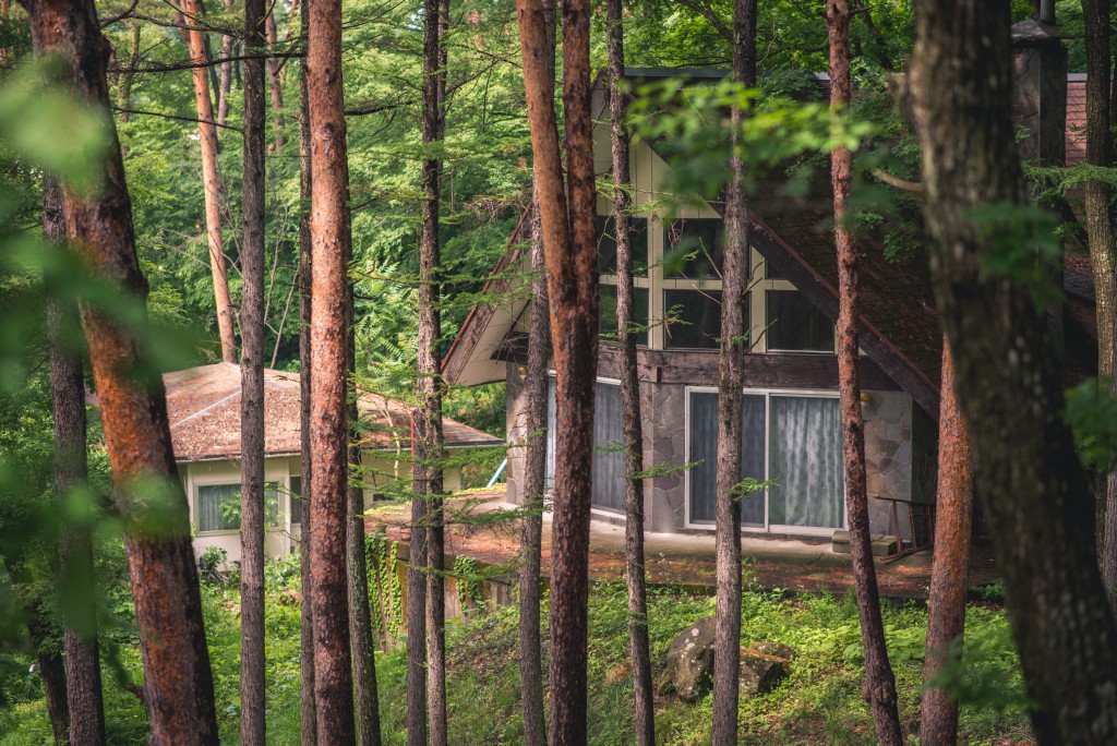 A cabin located on the Bible camp's land, seen through several tall pine trees.