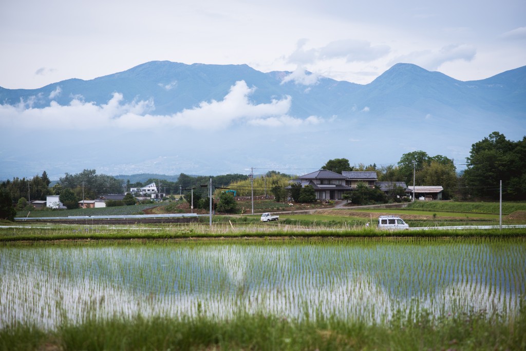 Some of the mountains of Nagano Prefecture, adjacent to the camp.